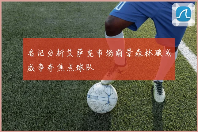 名记分析艾萨克市场前景森林狼或成争夺焦点球队